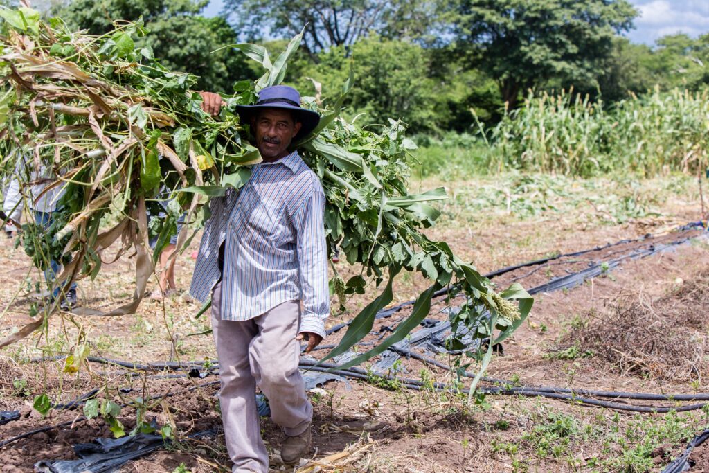 farmer Andres credit Cinthya Casco (2018)